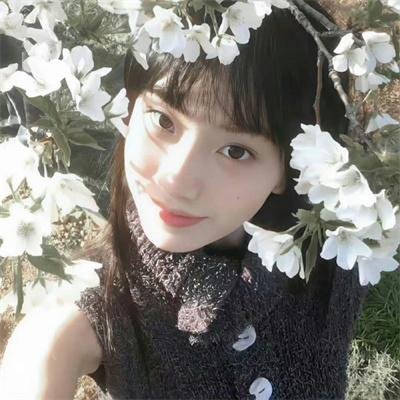 仙女座